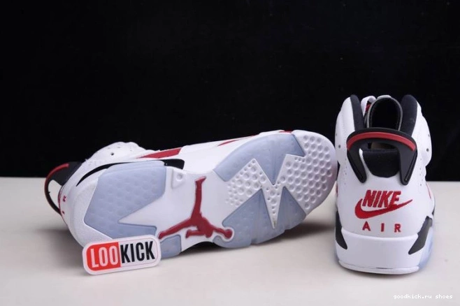 Rep 6 'CARMINE' JORDAN RETRO CT8529-106 2021 AIR 0825